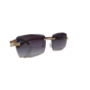 Vogue Chic Sunglasses