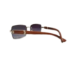 Vogue Sunglasses
