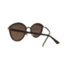 Sass Sunglasses