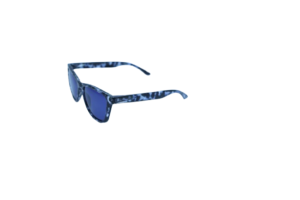 Wayfarer Sunglasses