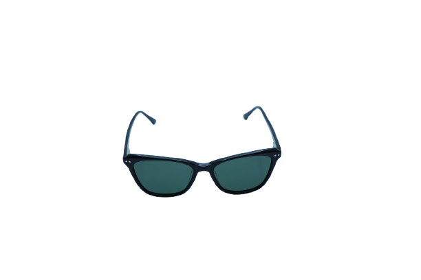 Midnight Wayfarer Sunglasses