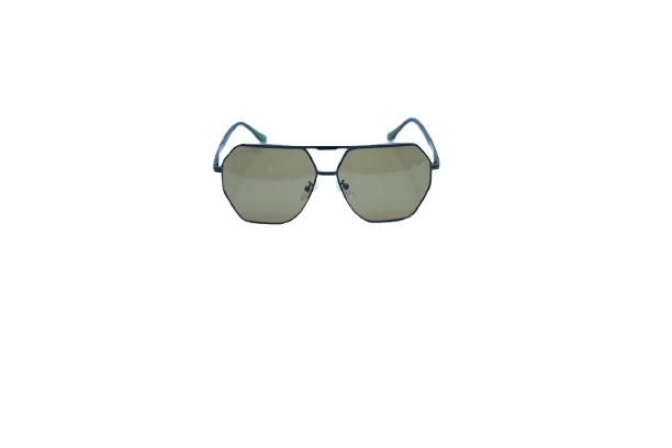 Bold Oval Polarized Sunglasses