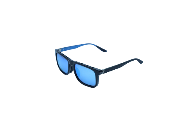 Shield Wayfarer Sunglasses