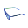 Ocean Wayfarer Sunglasses