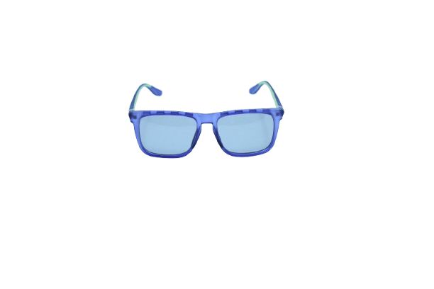 Ocean Wayfarer Sunglasses